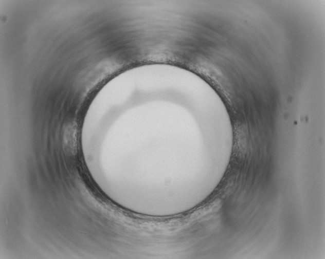 X0000088210016200706121817