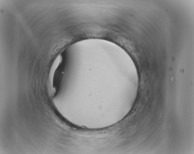 X0000088210017200706121816