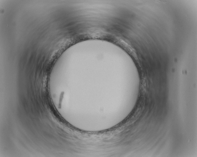 X0000088210018200706121816