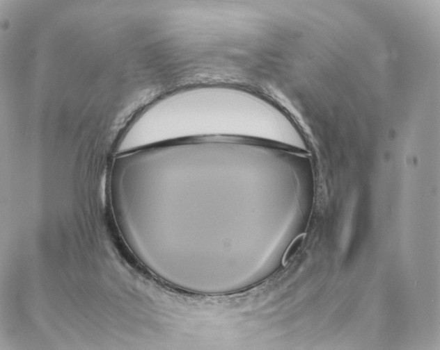 X0000088210019200706121816