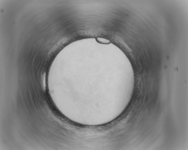 X0000088210020200706121816