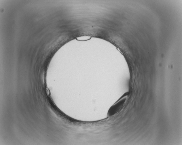 X0000088210021200706121816