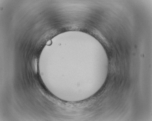 X0000088210022200706121816