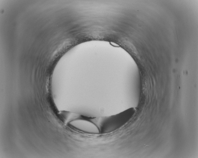 X0000088210023200706121816