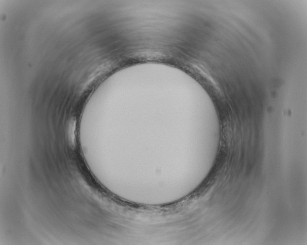 X0000088210024200706121816