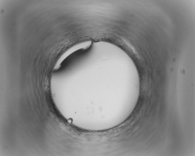 X0000088210025200706121816