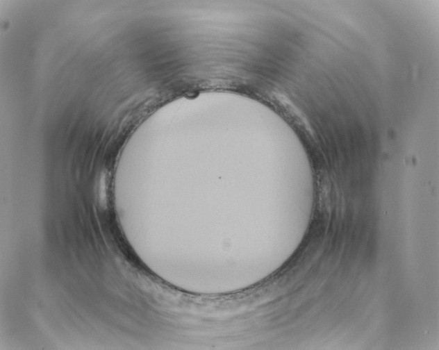 X0000088210026200706121816