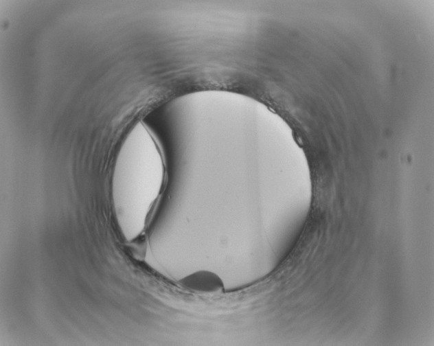 X0000088210027200706121816