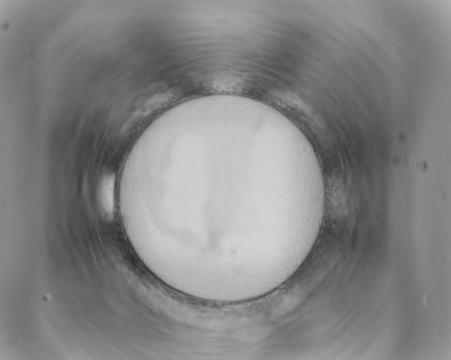 X0000088210028200706121816