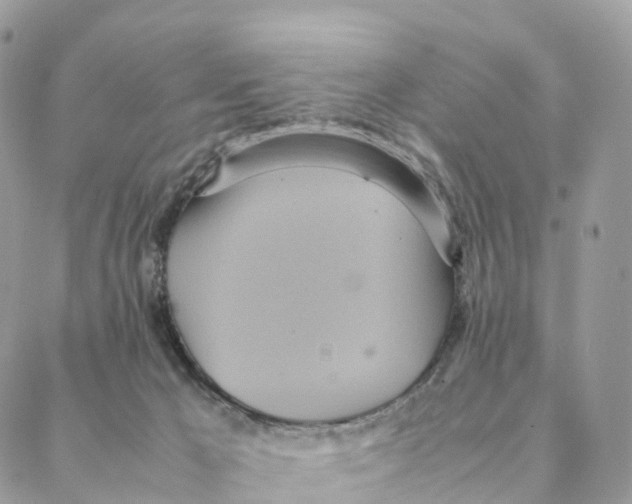 X0000088210029200706121816