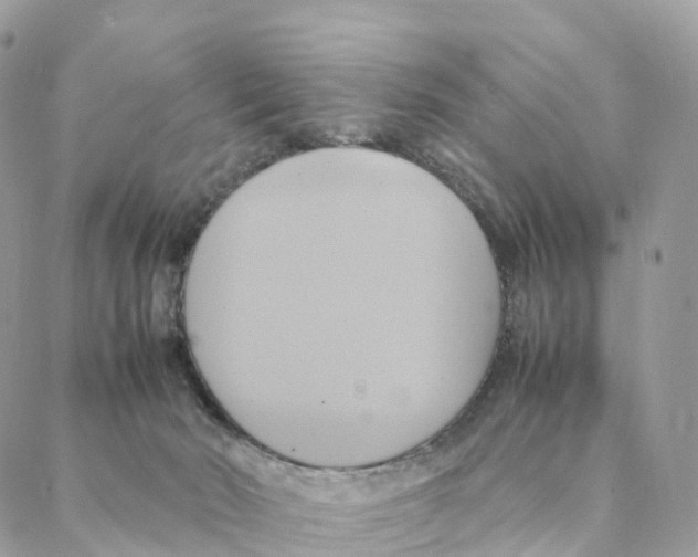 X0000088210030200706121816