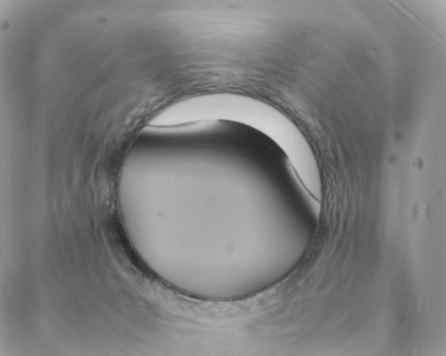 X0000088210031200706121816