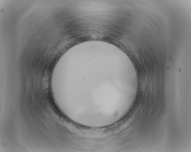 X0000088210032200706121816