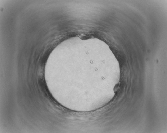 X0000088210033200706121816