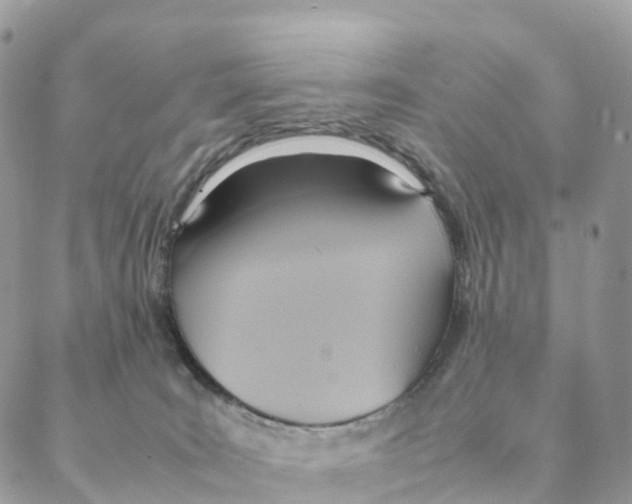 X0000088210035200706121816