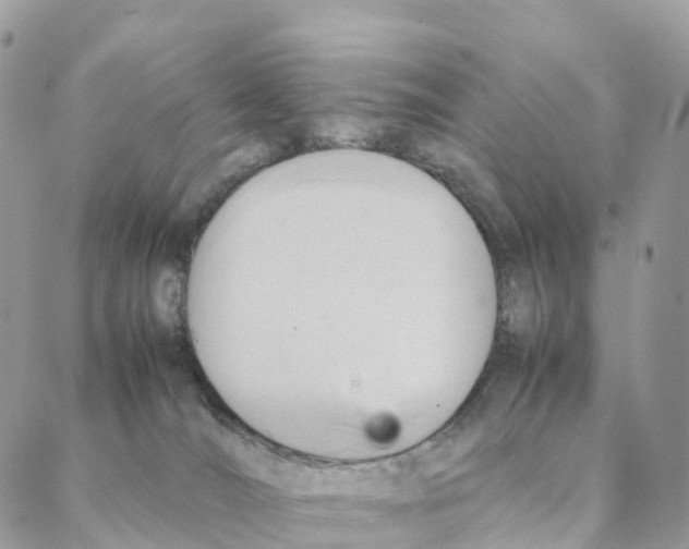 X0000088210036200706121816