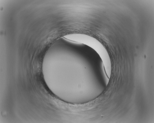 X0000088210039200706121816