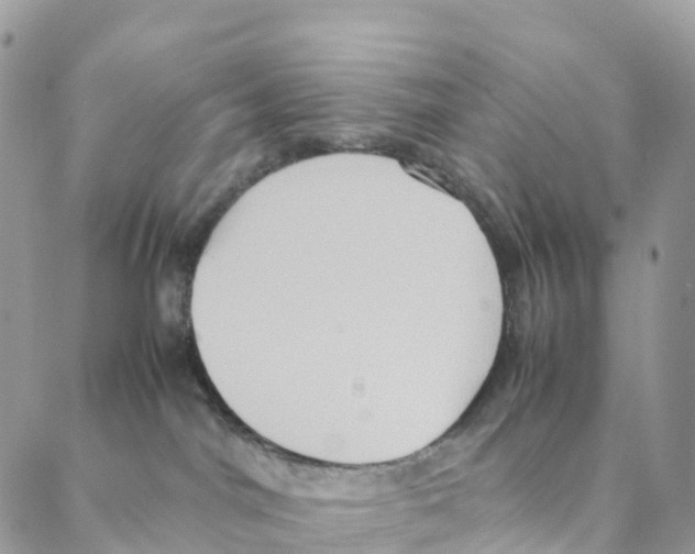 X0000088210044200706121816