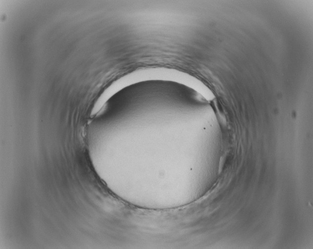 X0000088210045200706121816