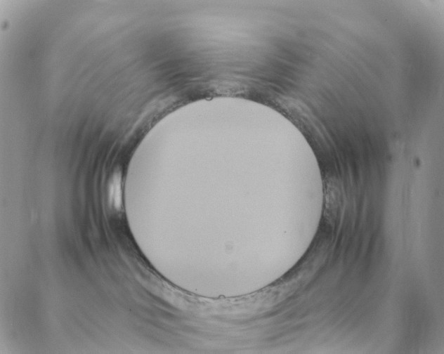 X0000088210046200706121816