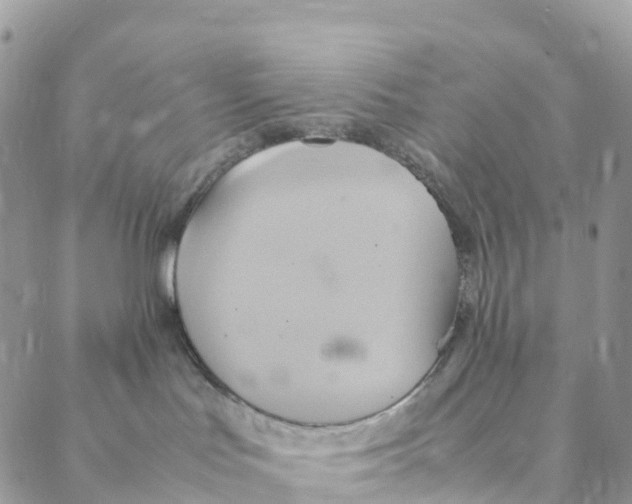 X0000088210047200706121816