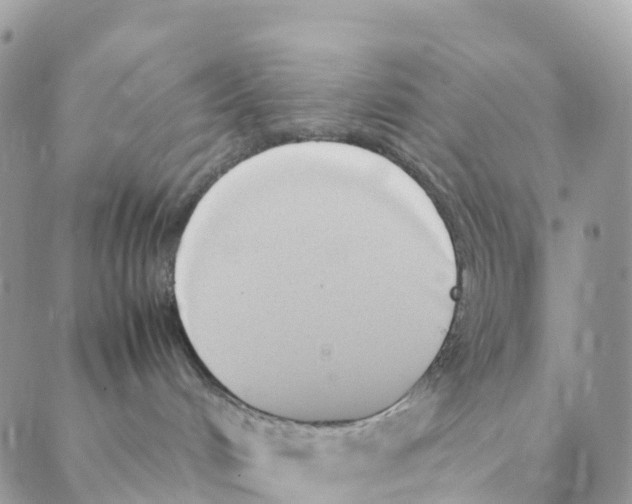 X0000088210048200706121816