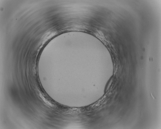 X0000088210050200706121815