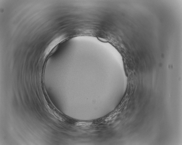 X0000088210051200706121815