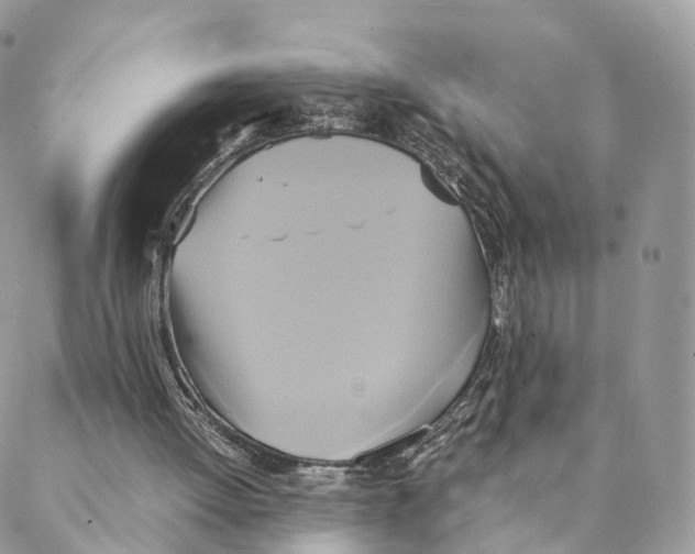 X0000088210052200706121815