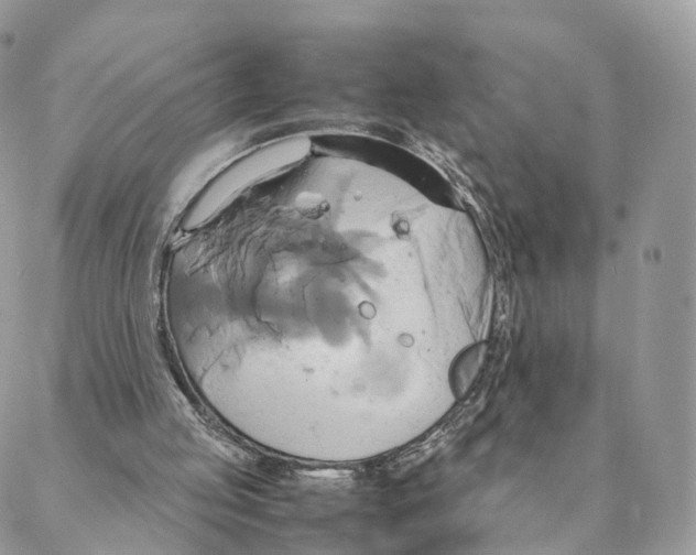 X0000088210053200706121815