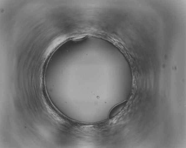 X0000088210054200706121815