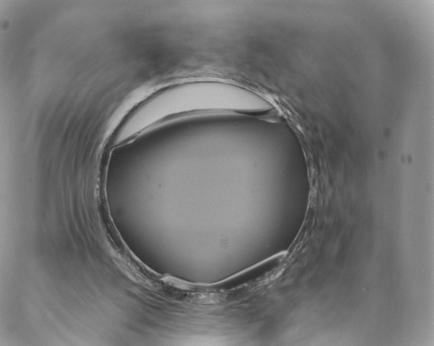 X0000088210056200706121815