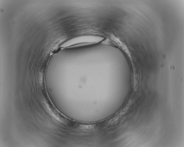 X0000088210057200706121815