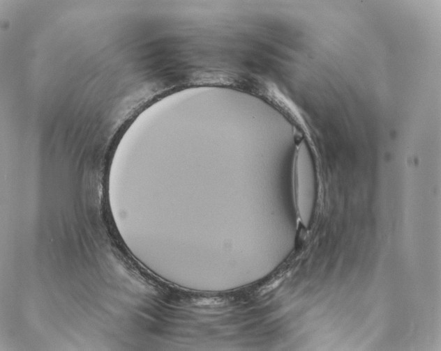 X0000088210059200706121815