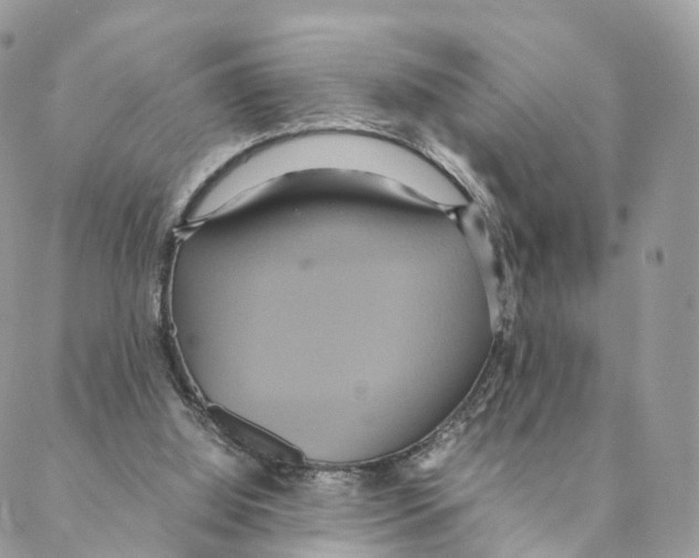 X0000088210060200706121815