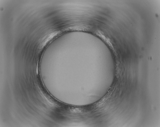 X0000088210062200706121815