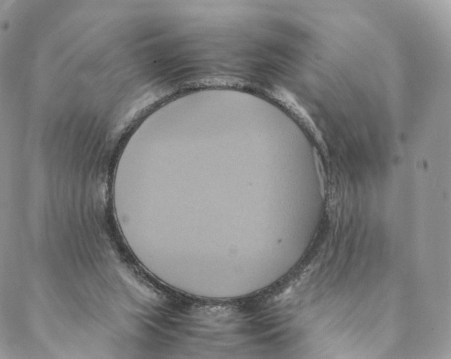 X0000088210063200706121815