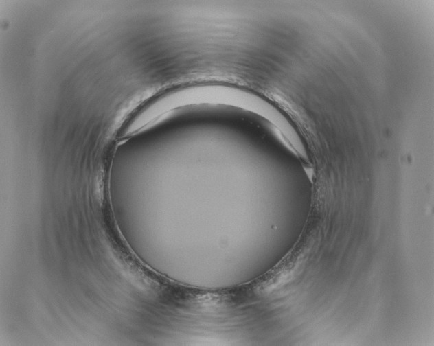 X0000088210064200706121815