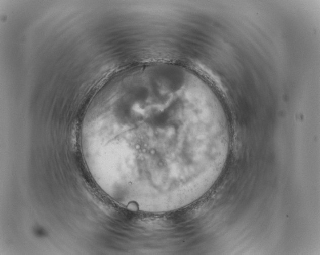 X0000088210065200706121815