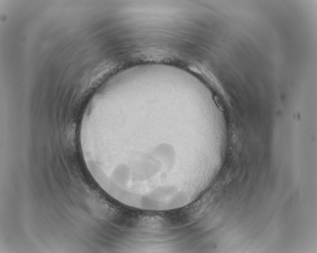 X0000088210066200706121815