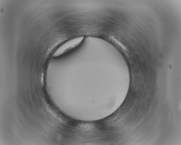 X0000088210067200706121816