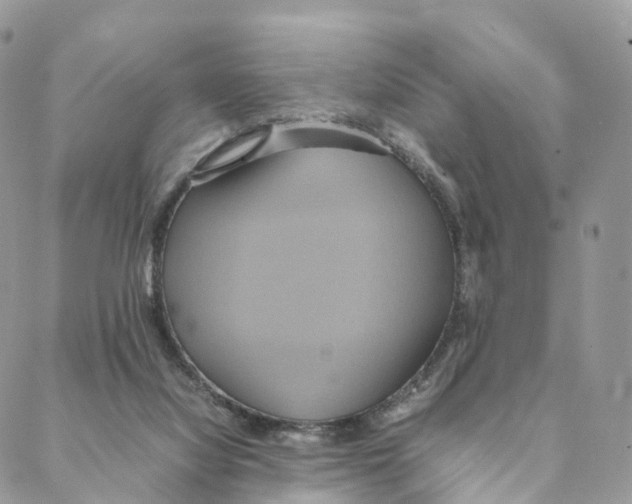 X0000088210068200706121816