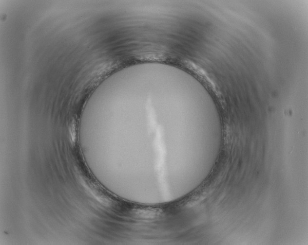 X0000088210069200706121816