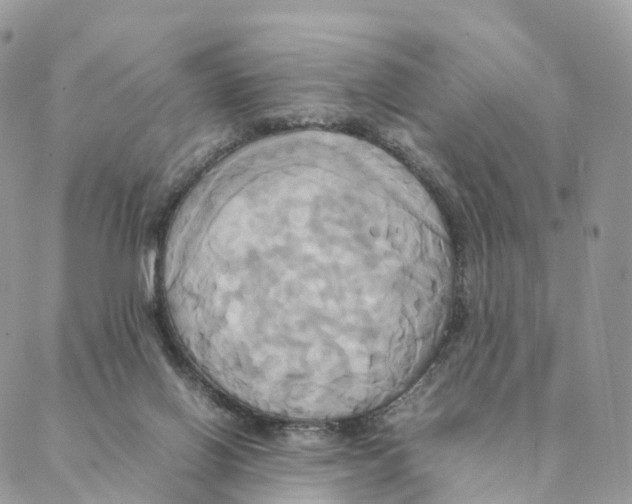 X0000088210070200706121816