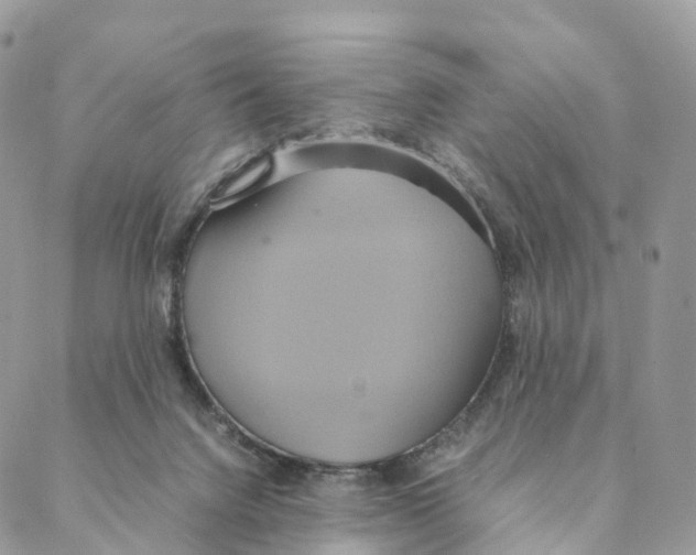 X0000088210072200706121816