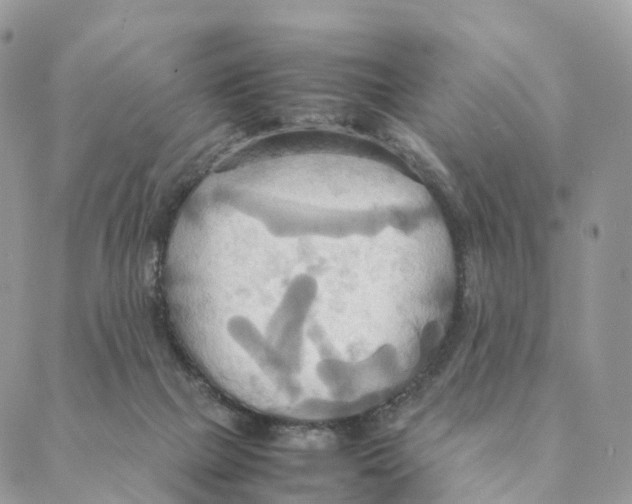 X0000088210073200706121816