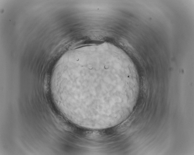 X0000088210074200706121816