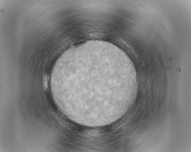 X0000088210075200706121816