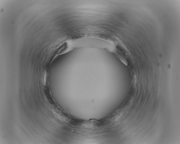 X0000088210076200706121816