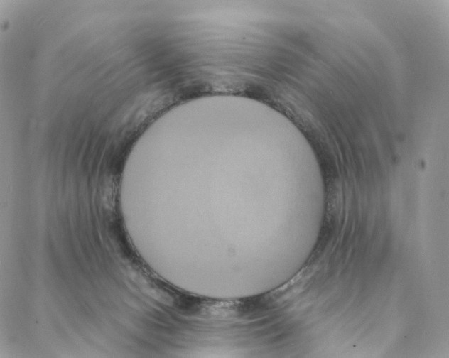 X0000088210078200706121816